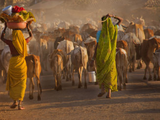 India - Chhatisgarth
