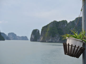 Halong Bay - Halong Bay