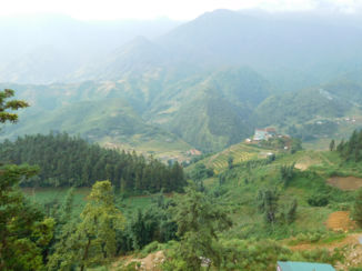 Sapa