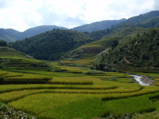 Vietnam - Sapa omgeving