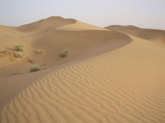 India - Rajastan woenstijn, kameelsafari