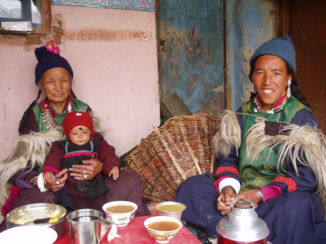 India - Kopje thee in Lingshed, Zanskar