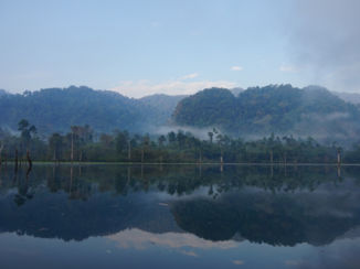 Khao Sok National Park - Ochtendtrip