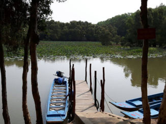Vietnam - Tra su cajuput forest (motor boat)