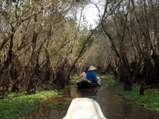Vietnam - Tra su cajuput forest (rowing boat)