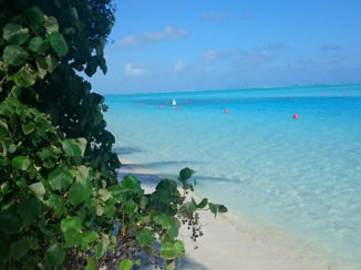 Malediven - Uitzicht vanaf huisje