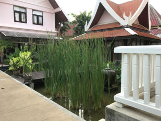 Thailand - Karon, Phuket, Kata Poolside Hotel