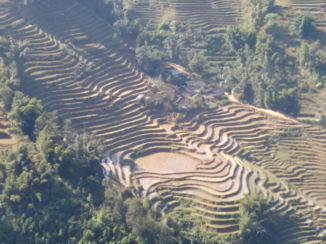 Vietnam - Ta-Vana (rijstvelden)