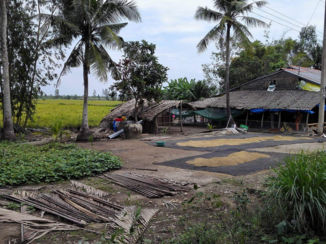 Vietnam - Rijst drogen