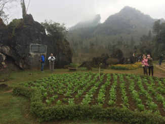Vietnam - Sapa landscape
