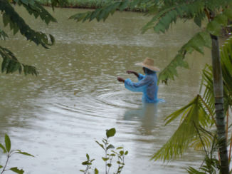 Thailand - de vissers in de isaan
