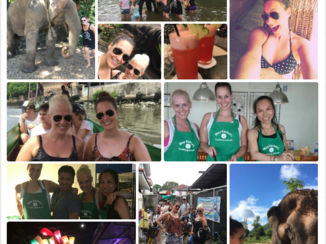 Thailand - Kookworkshops, olifanten opvangkamp