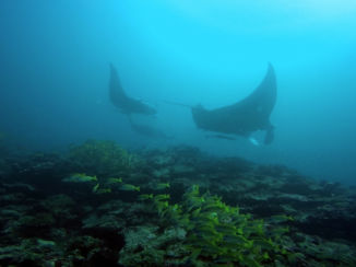 Malediven - Helloo Sunshiness