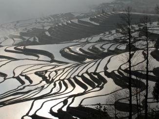 Yunnan provincie - Yuanyang foggy sunrise