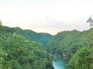 Bohol - Green views