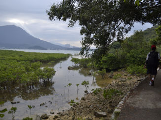 Hong Kong - hiking trail