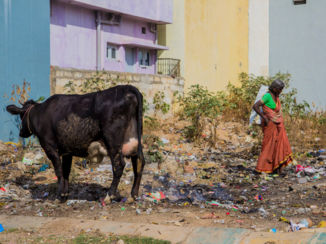 India - Garbage