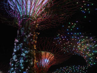 Singapore - Gardens at the Bay