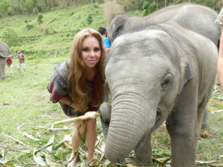 Thailand - My new little friend