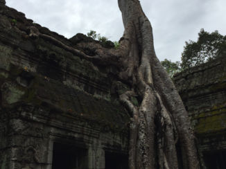 Cambodja - Angkor Wat