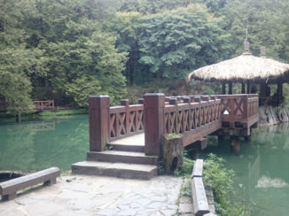 India - Alishan gebergte in Taiwan