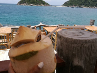 Koh Tao - Fresh coconut