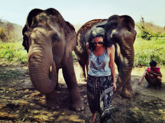 Pai - Bezoek aan een project voor herbebossing en behoud van wildlife: Conserve Natural Forests