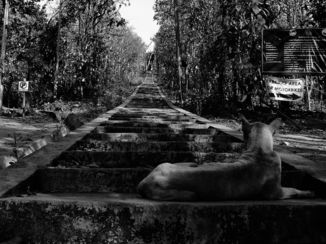 Pai - De trappen op, naar de White Buddha