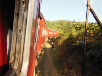 Sri Lanka - leuke treinreis lekker primitief