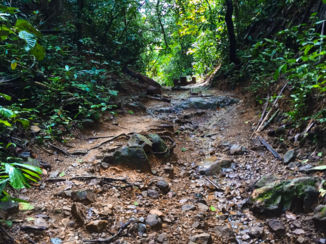 Khao Sok National Park - Wandel pad