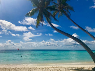 Malediven - Maafushi eiland