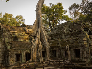 Cambodja - Ta Prohm tempel in Angkor complex