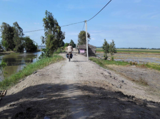 Rondreis Zuid-Vietnam - Fietsen door de rijstvelden