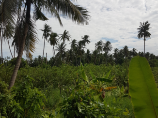 Rondreis Thailand in vier weken - The other side of Bangkok