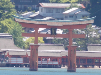 Japan - Tori in Miyajima