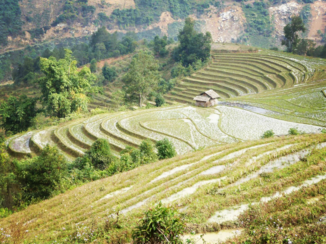Rondreis Vietnam in vier weken - Sapa