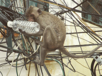 Cambodja - Phnom Penh