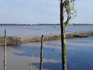 Rondreis Zuid-Vietnam - De Mekong