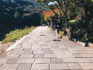 Japan - Kyoto herfst
