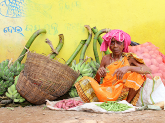 India - Kleurrijk