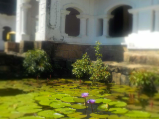 Sri Lanka - Cave tempels