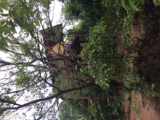 Sri Lanka - Slapen in een boomhut