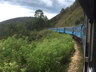 Sri Lanka - Treinreis