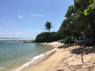 Sri Lanka - Beach