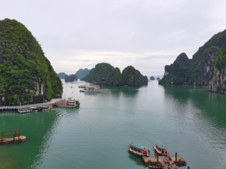 Rondreis langs de kust van Vietnam - Halong Bay