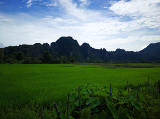 Rondreis Vietnam in vier weken