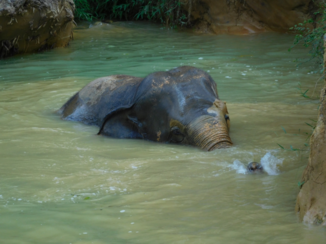 Rondreis Zuid-Thailand