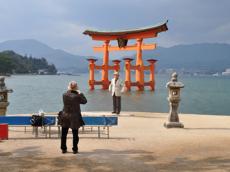 Miyajima - Tori shot