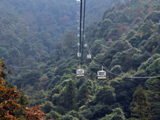 Miyajima - Miyajima flight