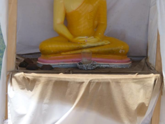 Ella - Dog resting at the holy spot